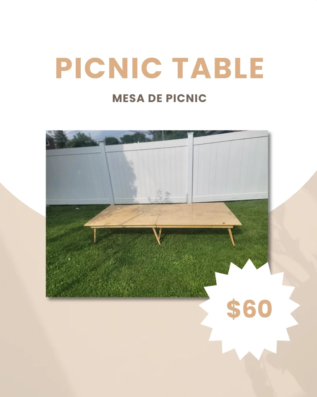Picnic Table